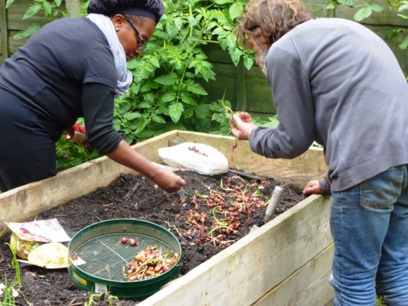 cgn garden 20 Sep 03