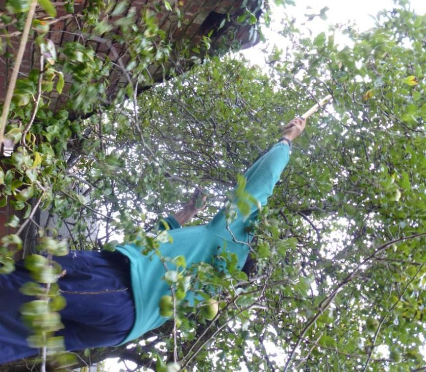 cgn garden 20 Sep 12