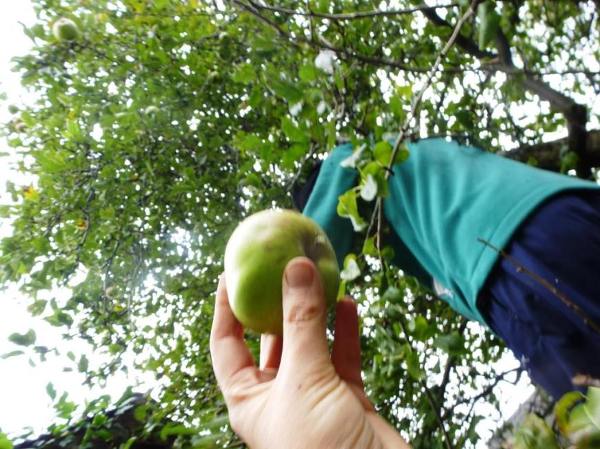 cgn garden 20 Sep 13