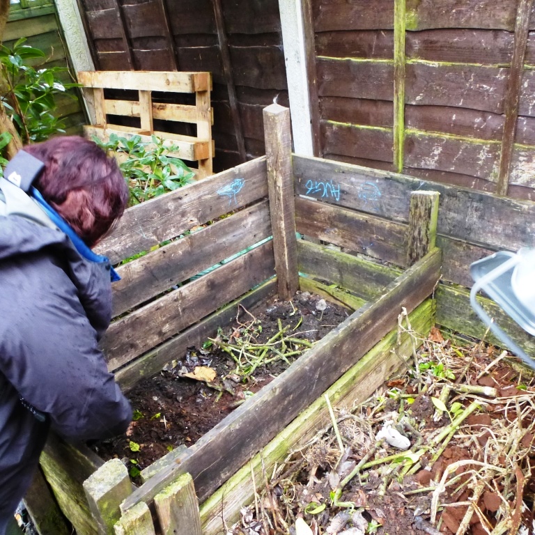 cgn garden 14-02-14 (10)