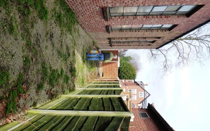 cgn garden 28-02-14 (03)