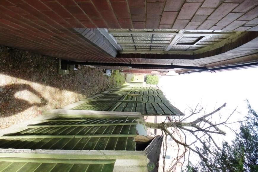 cgn garden 28-02-14 (05)