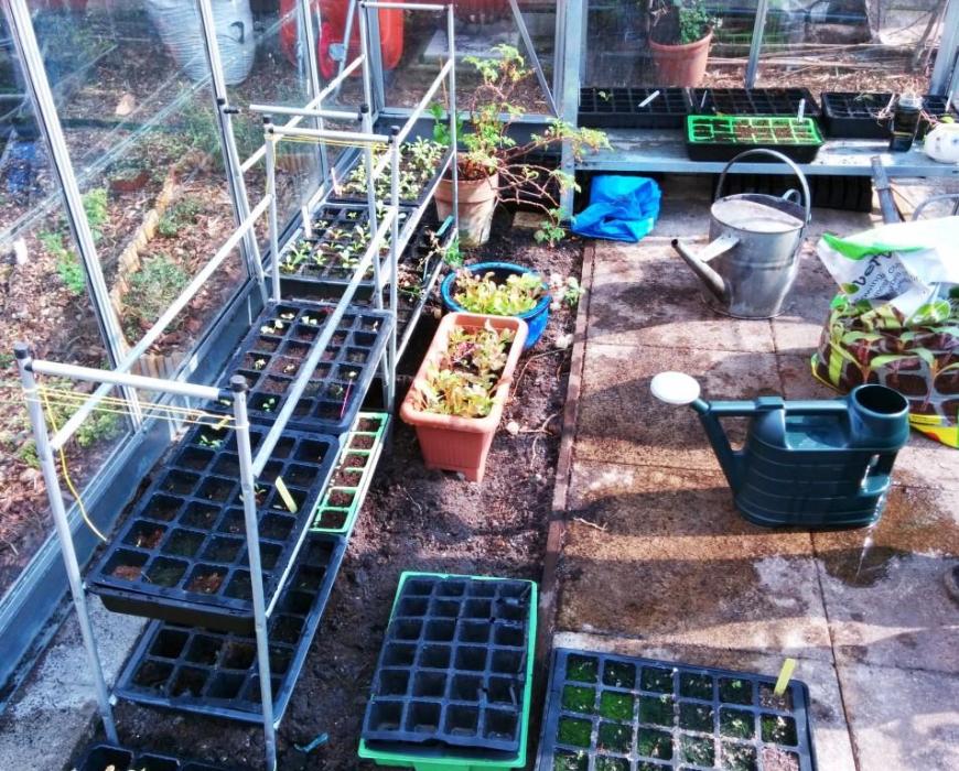 cgn garden 28-03-14 (2)