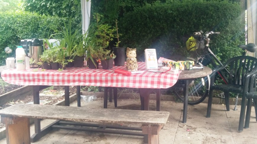 open garden June 26 (4)