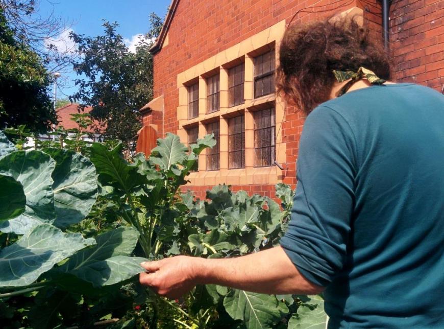 cgn garden 22 July (4)