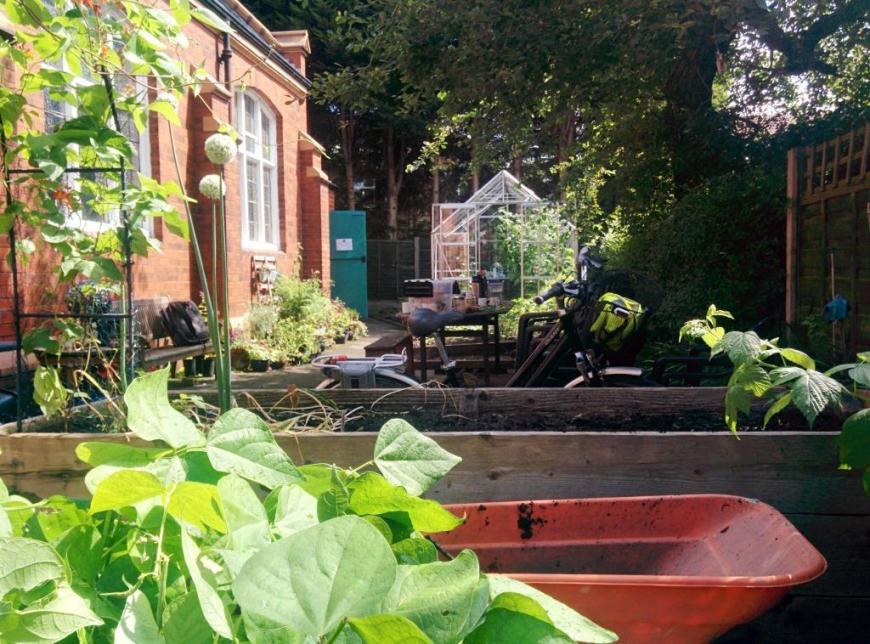 cgn garden 22 July (5)