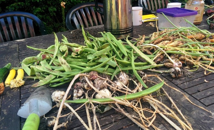 cgn garden 22 July (7)